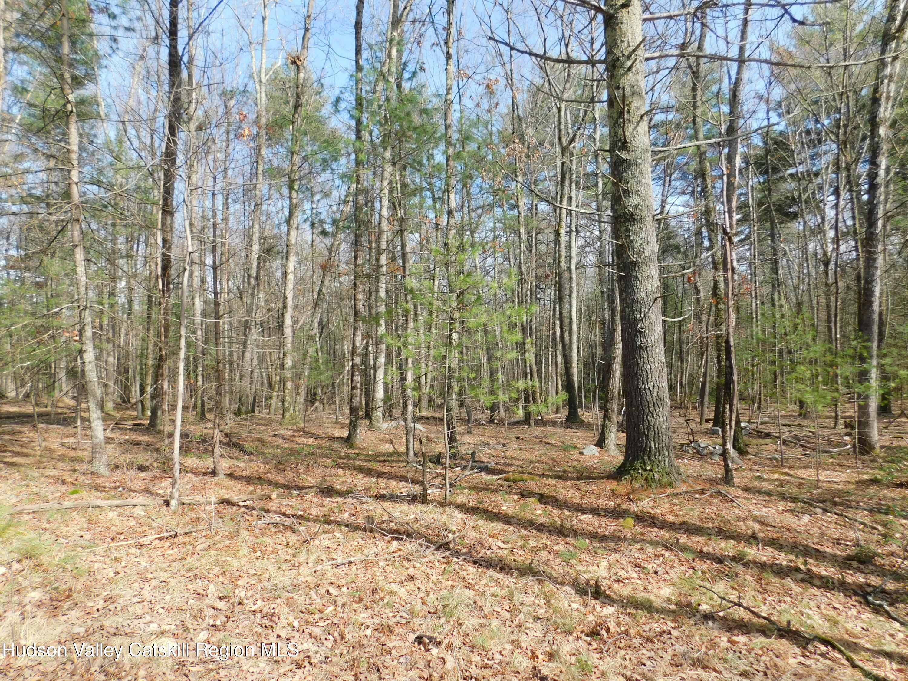 Tbd Wright Road