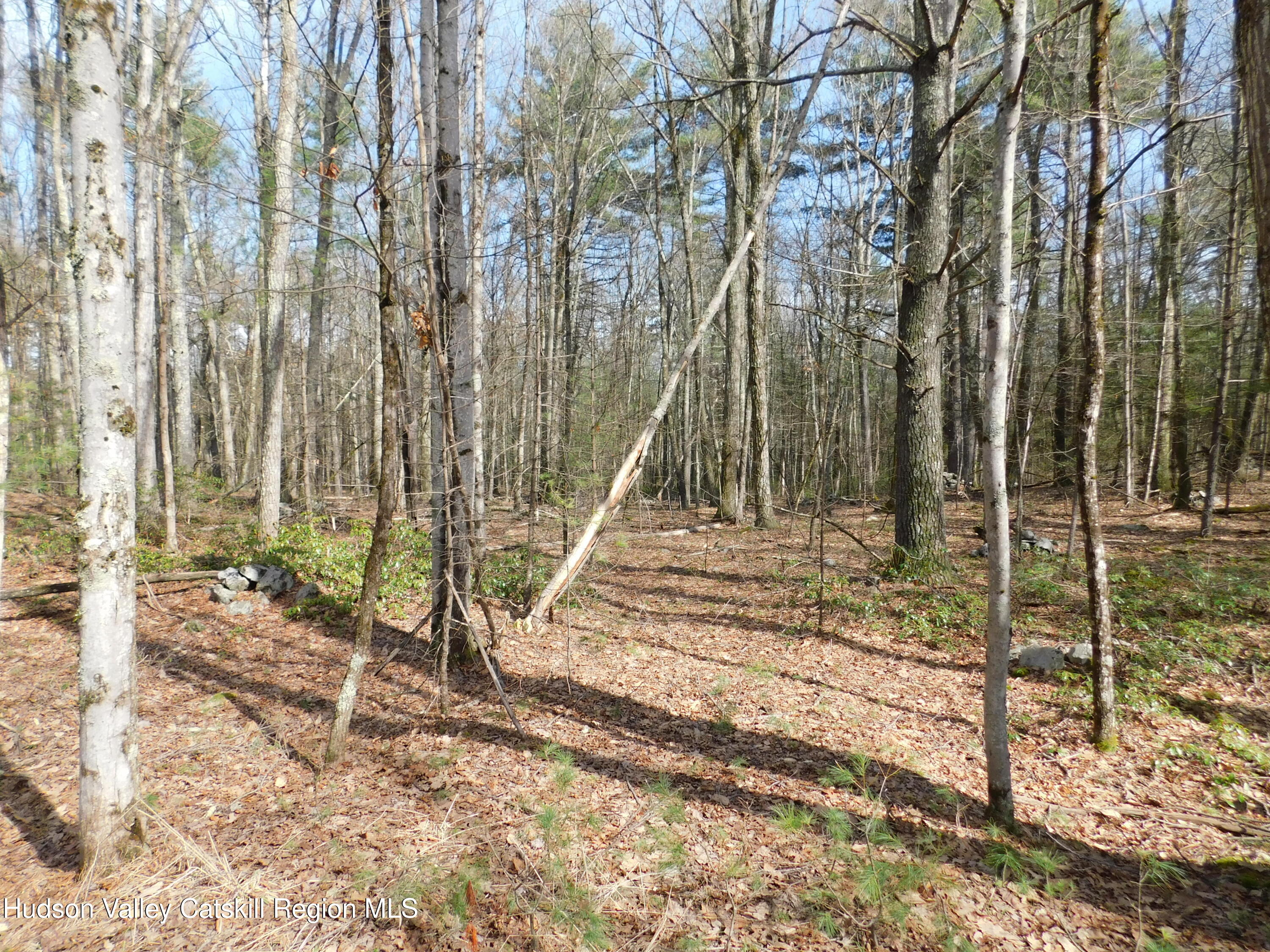 Tbd Wright Road