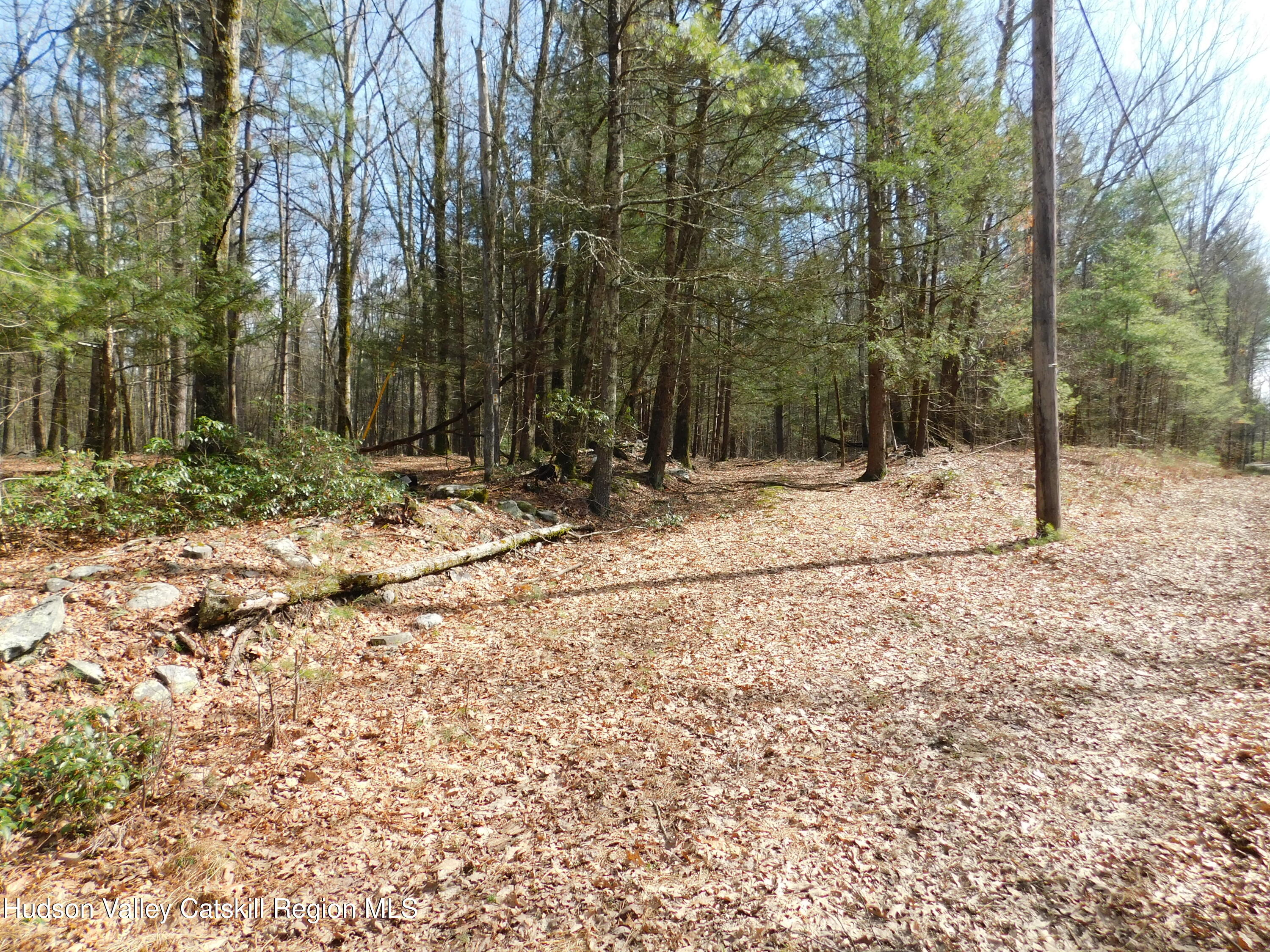 Tbd Wright Road