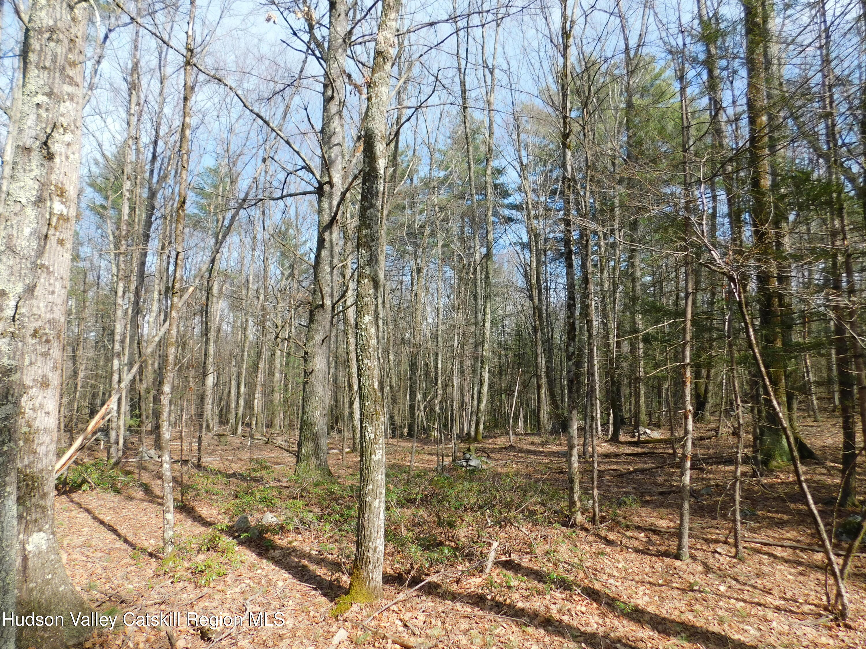 Tbd Wright Road