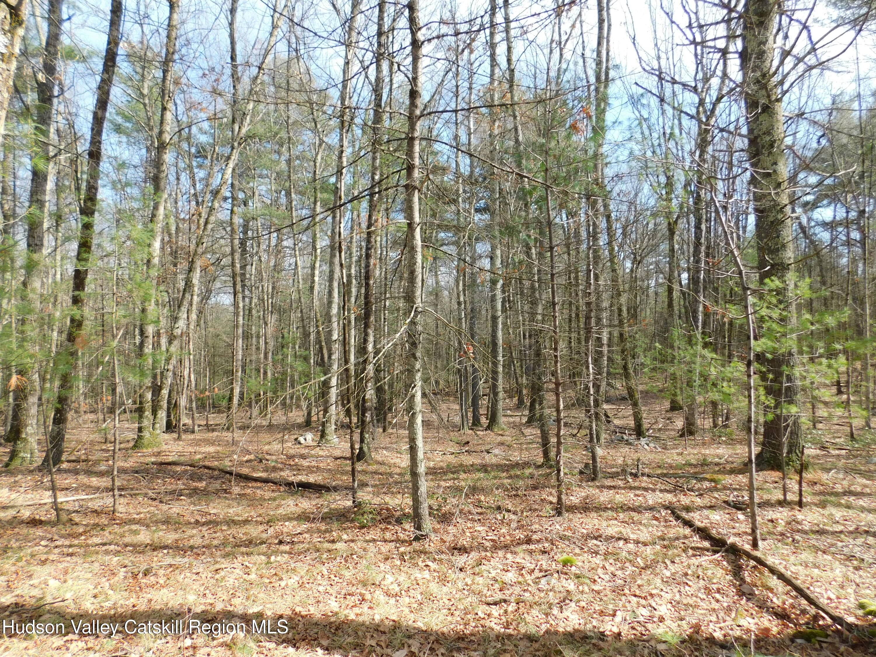 Tbd Wright Road