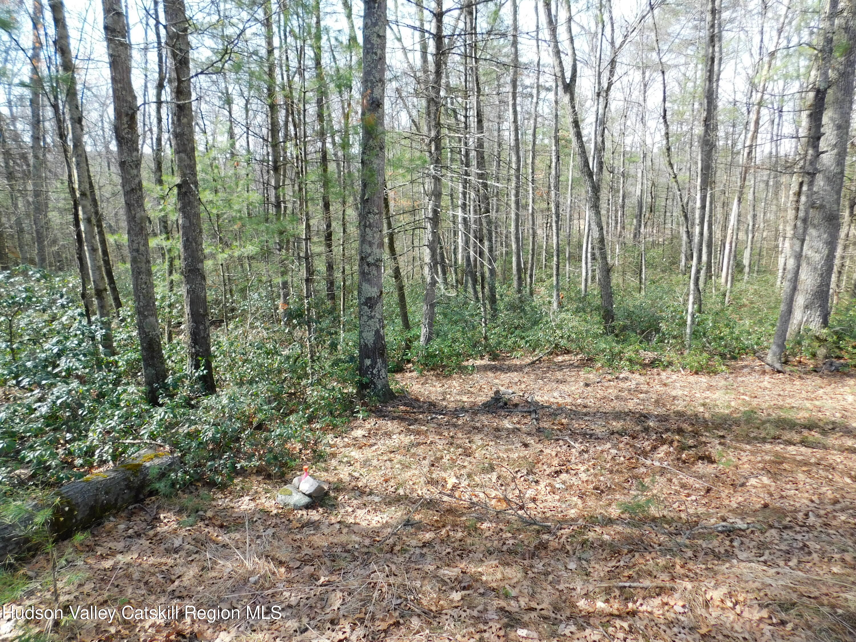 Tbd Wright Road