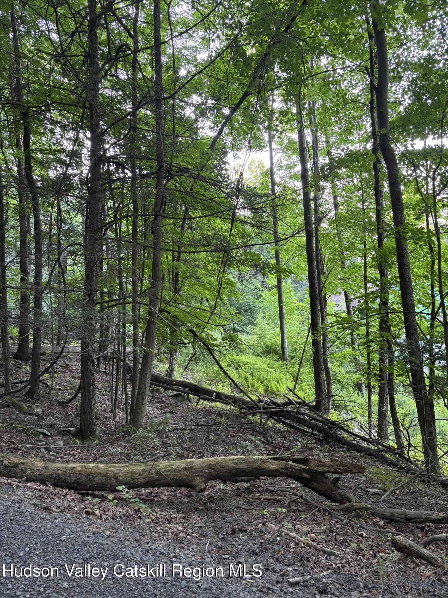 Tbd High Point Mountain Road