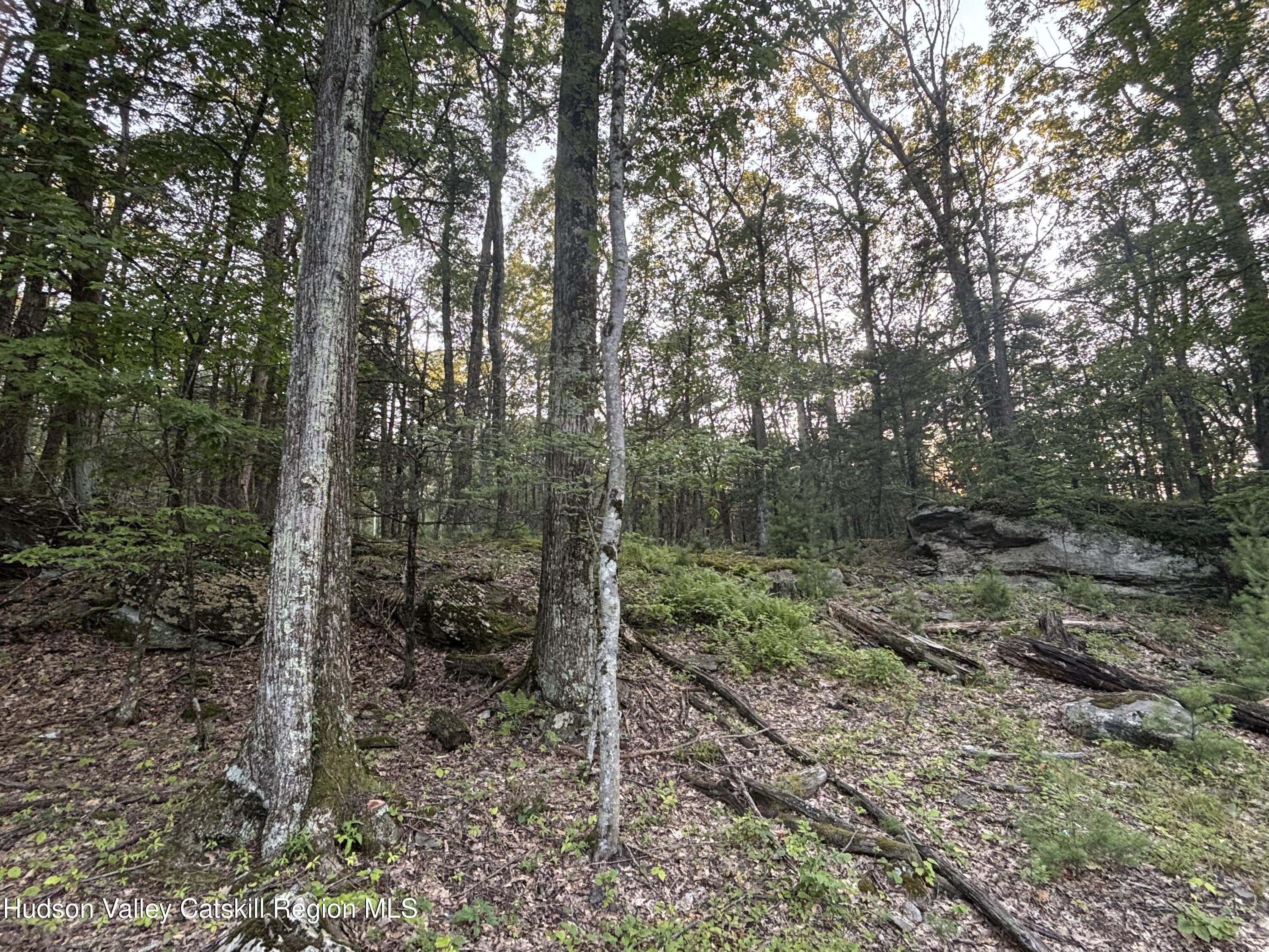 Tbd High Point Mountain Road