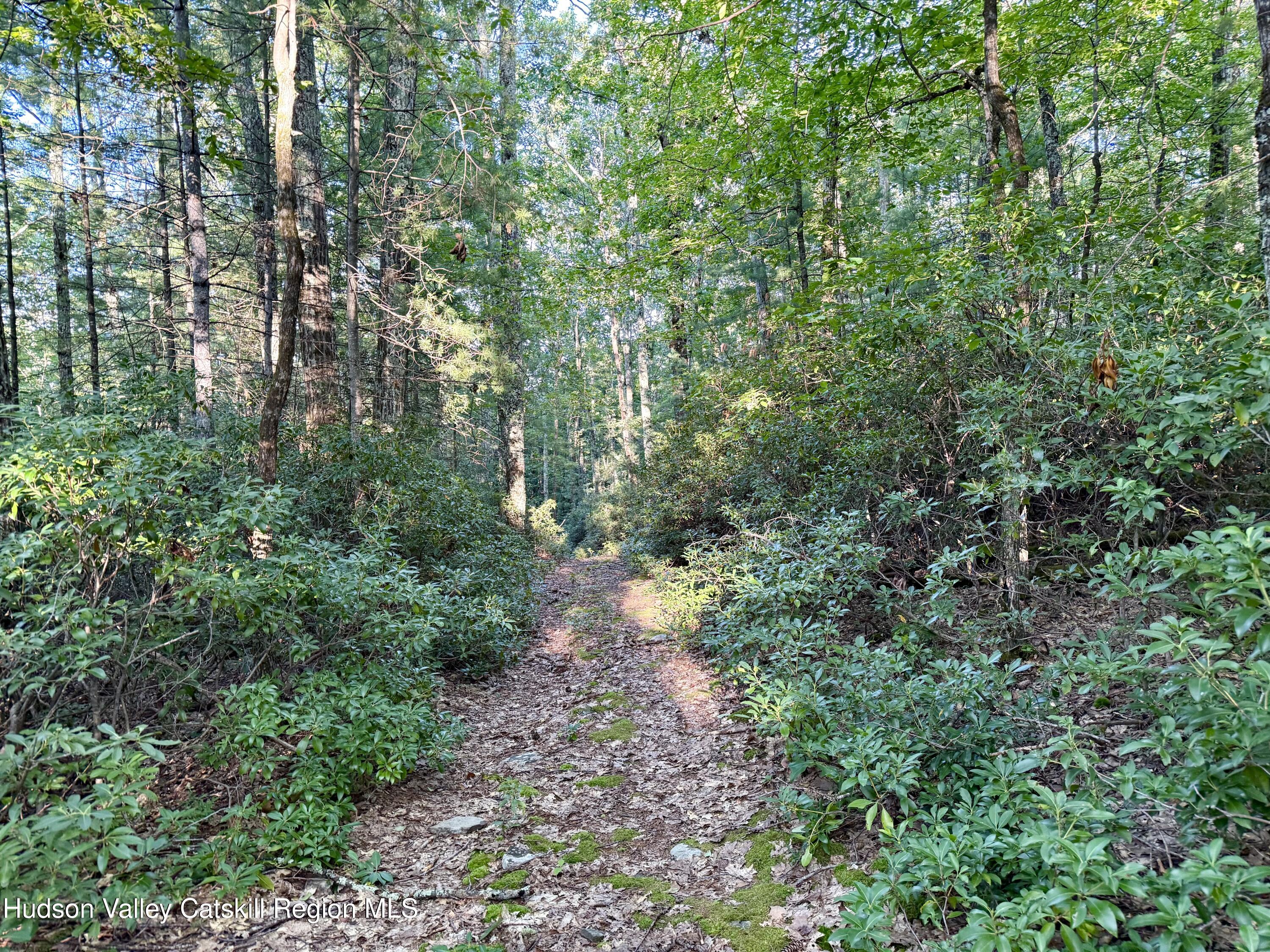 668 Upper Cherrytown Road