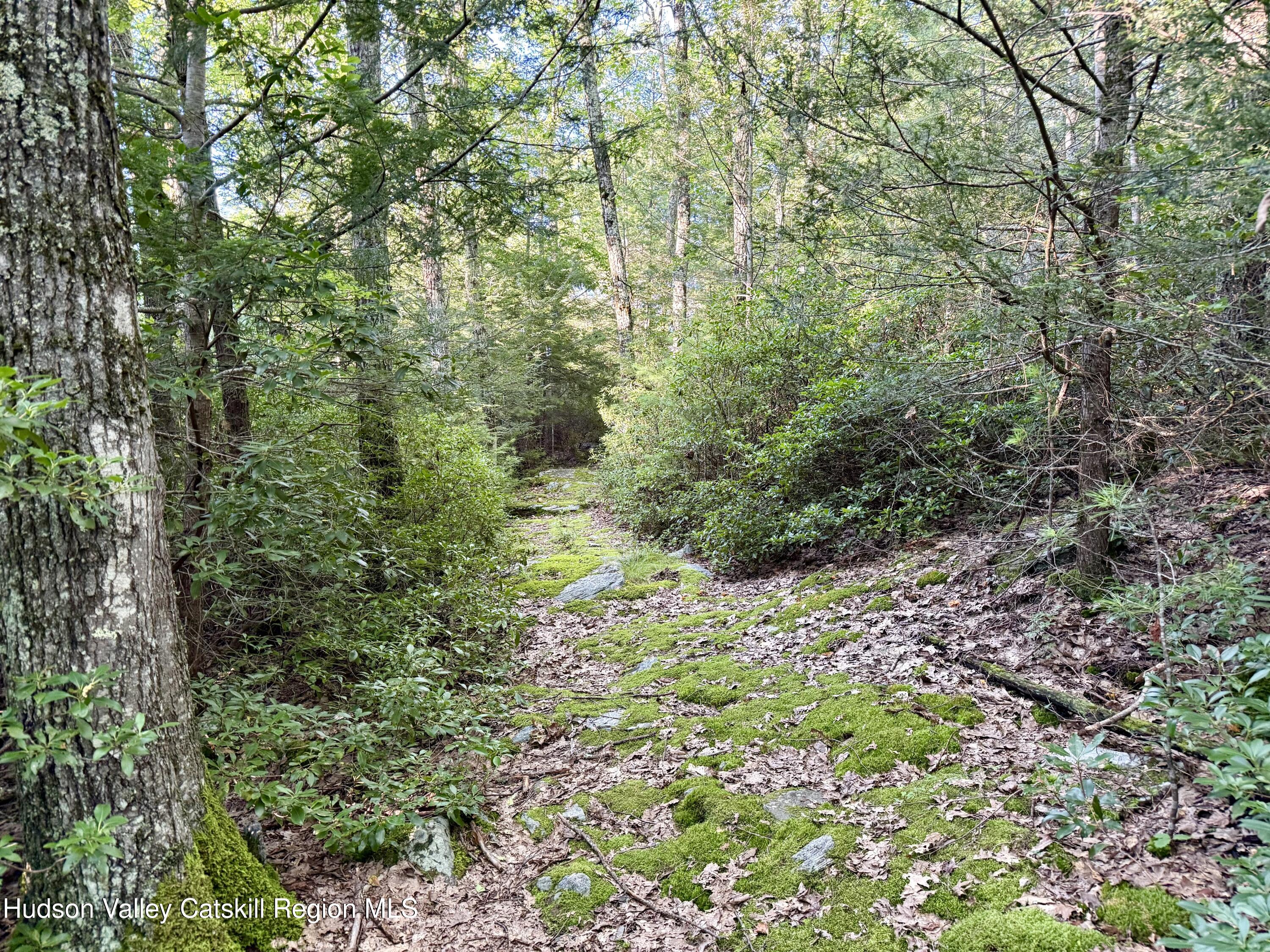 668 Upper Cherrytown Road