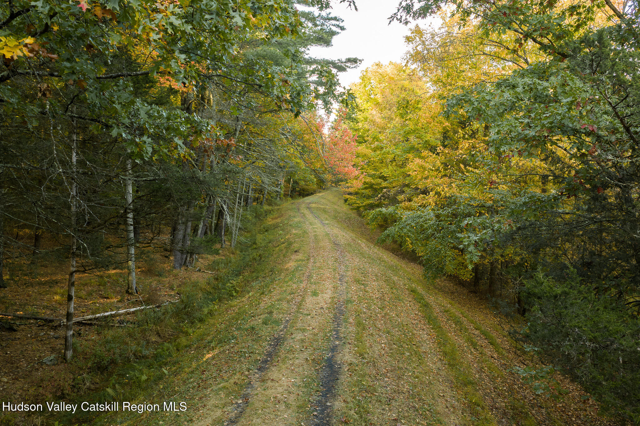 154 Pine Bush Road