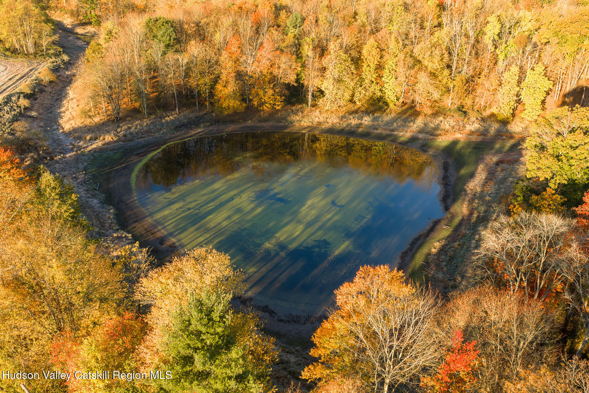 154 Pine Bush Road