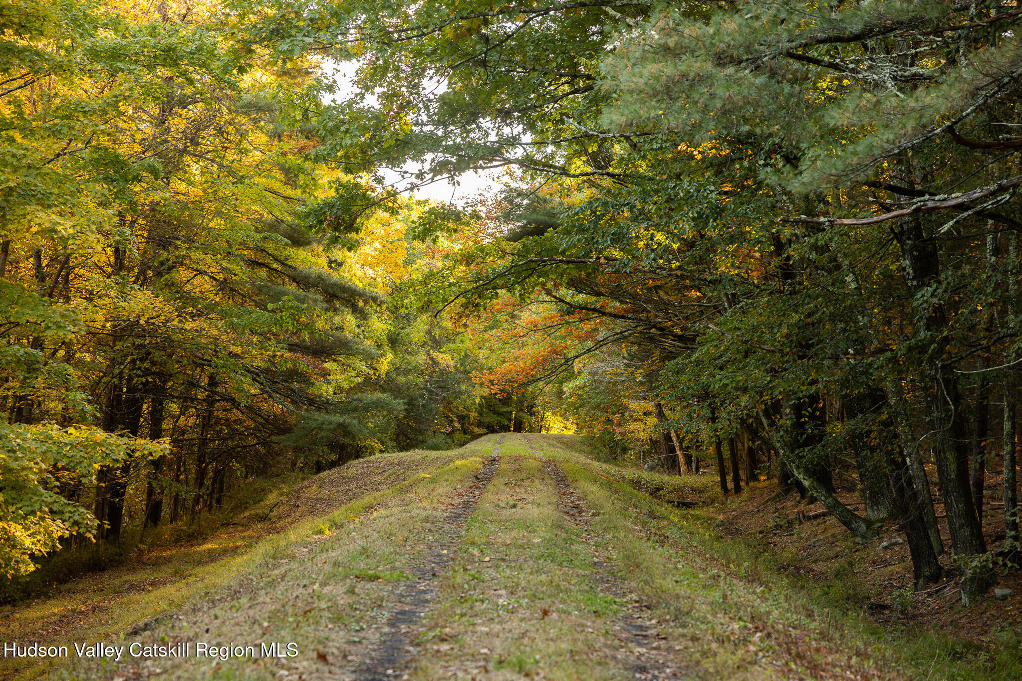 154 Pine Bush Road