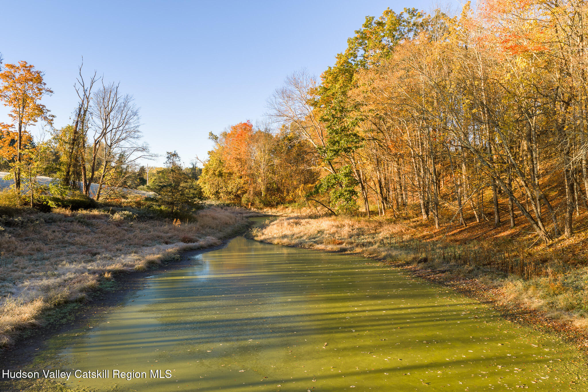 154 Pine Bush Road