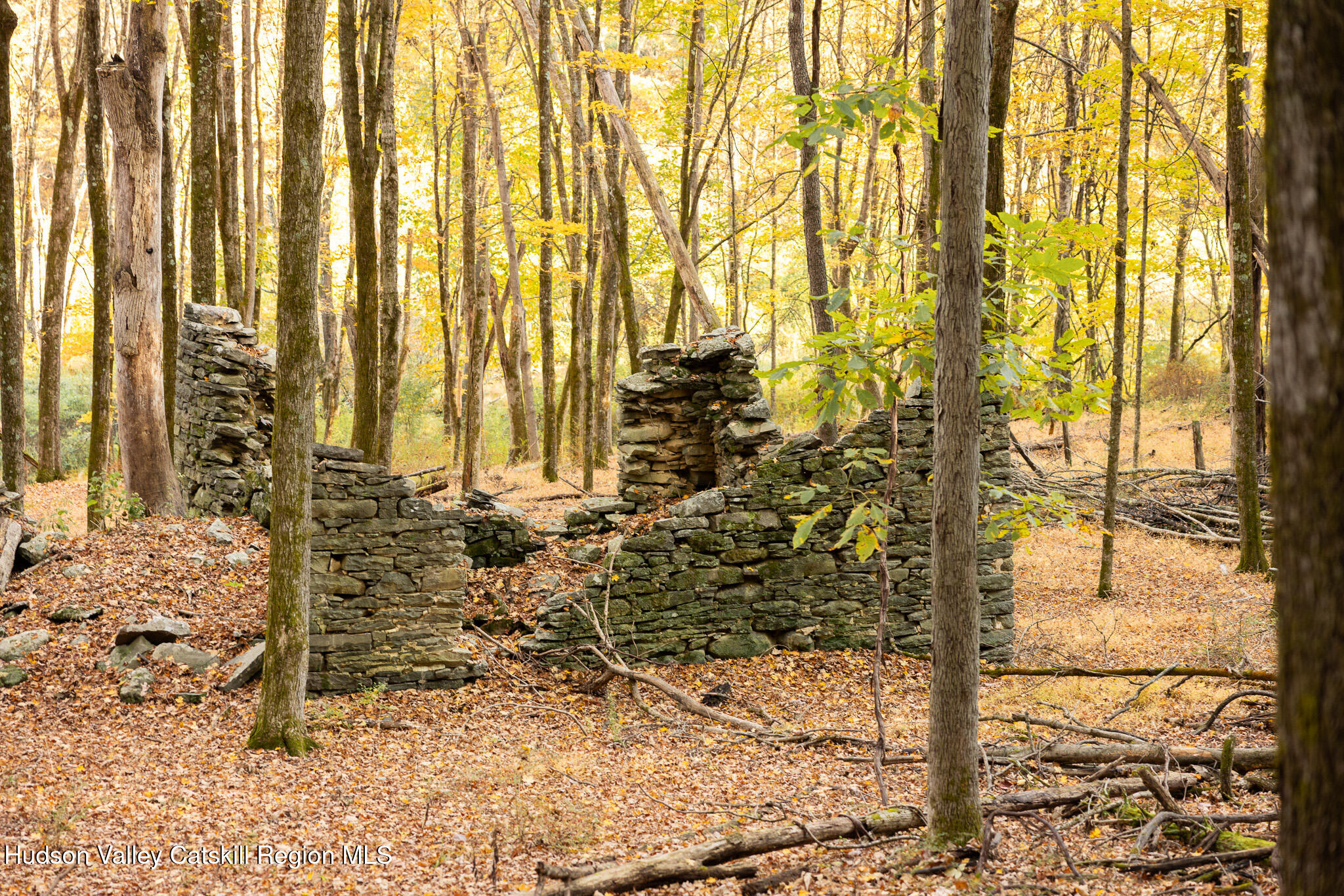 154 Pine Bush Road