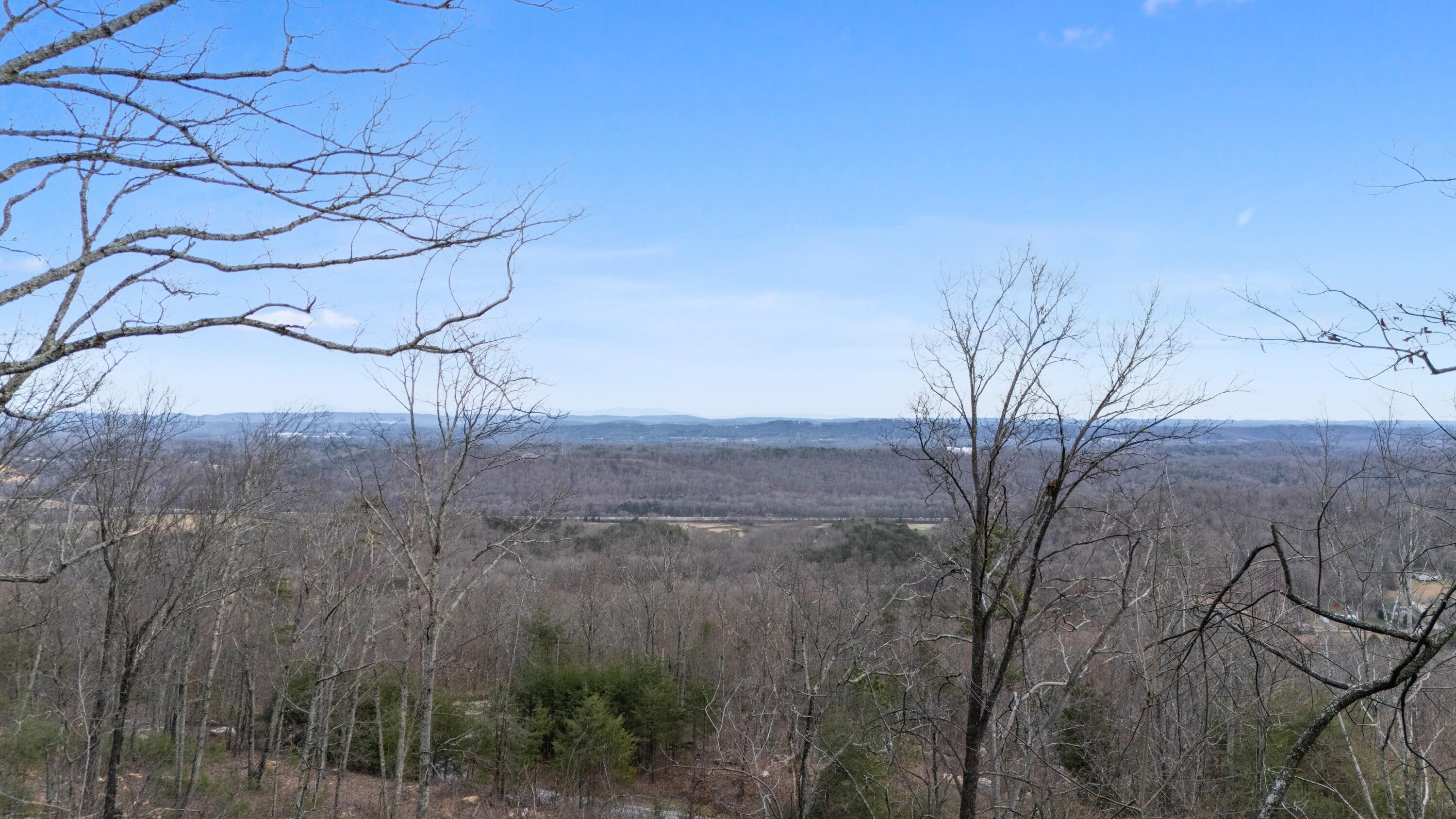 974 Bluff Ledge Trail