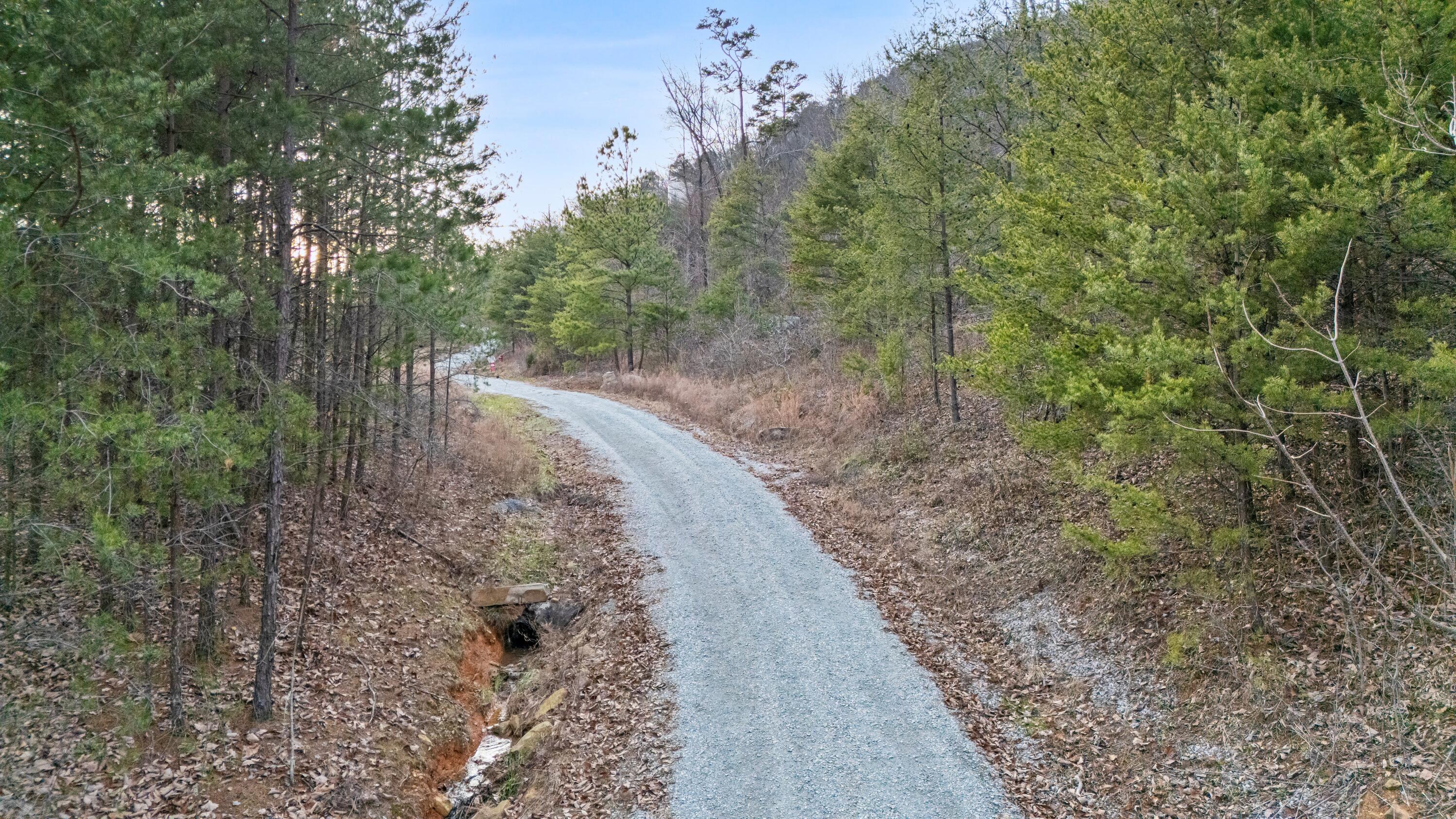 974 Bluff Ledge Trail