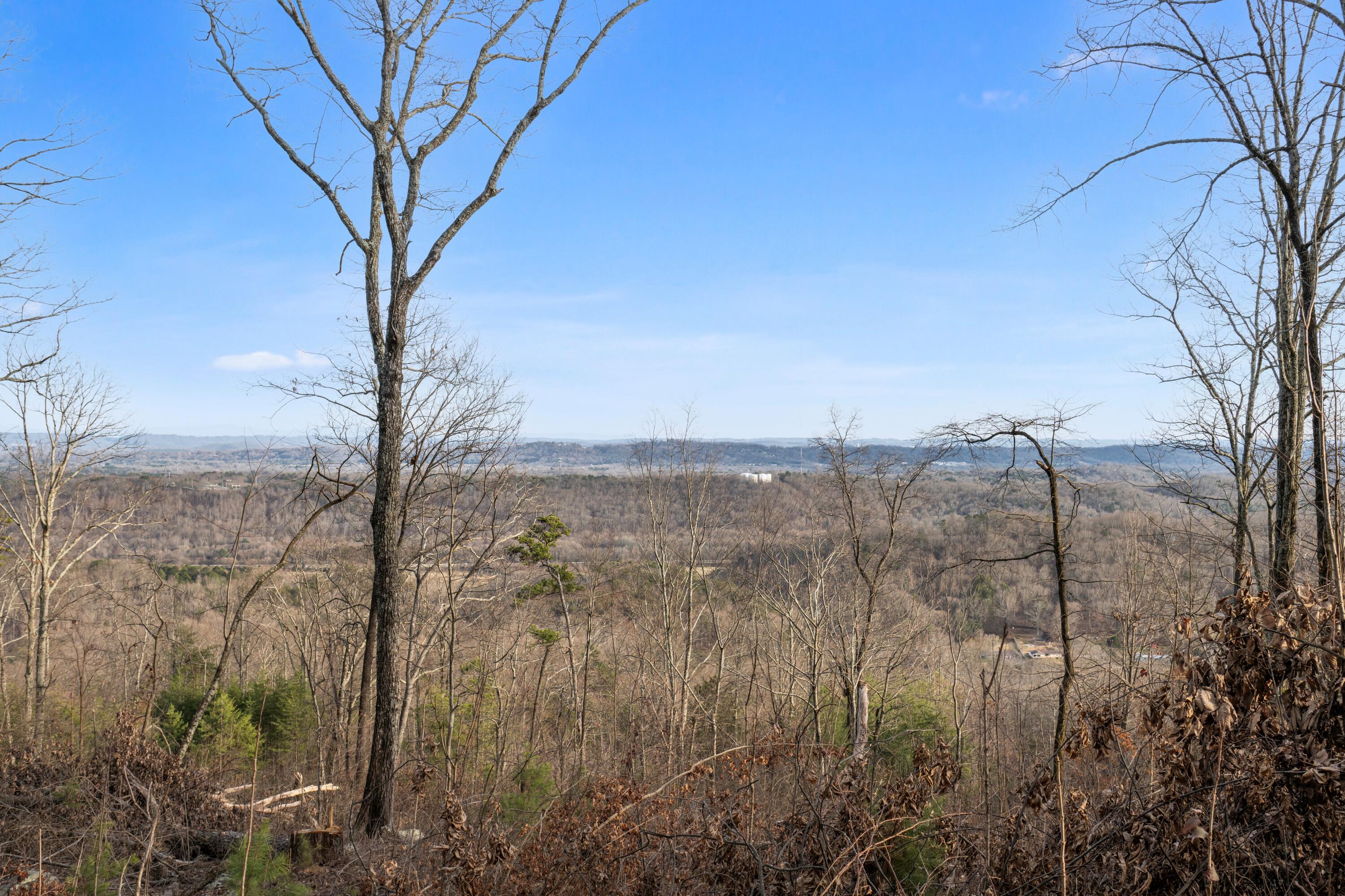974 Bluff Ledge Trail