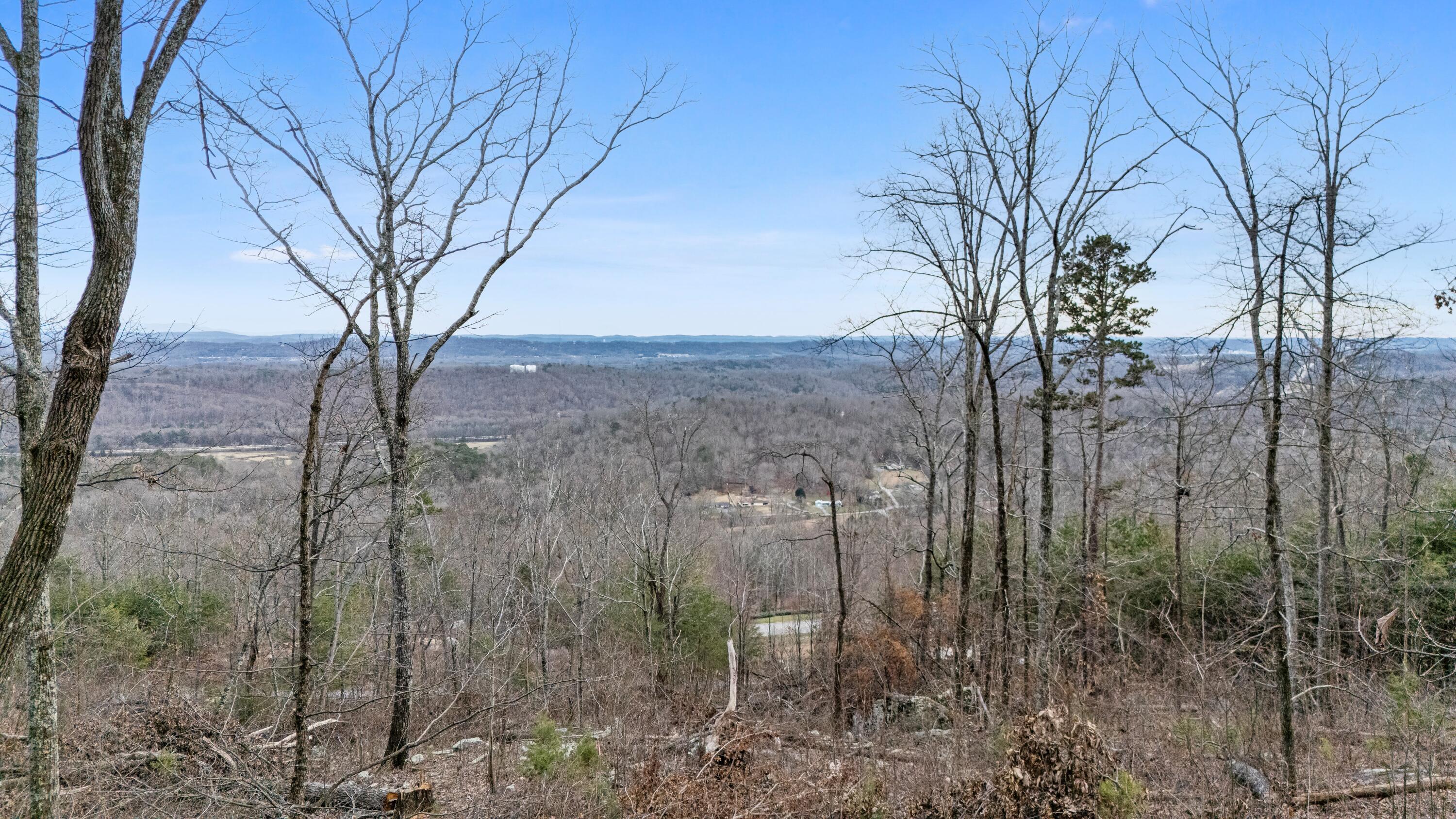 974 Bluff Ledge Trail