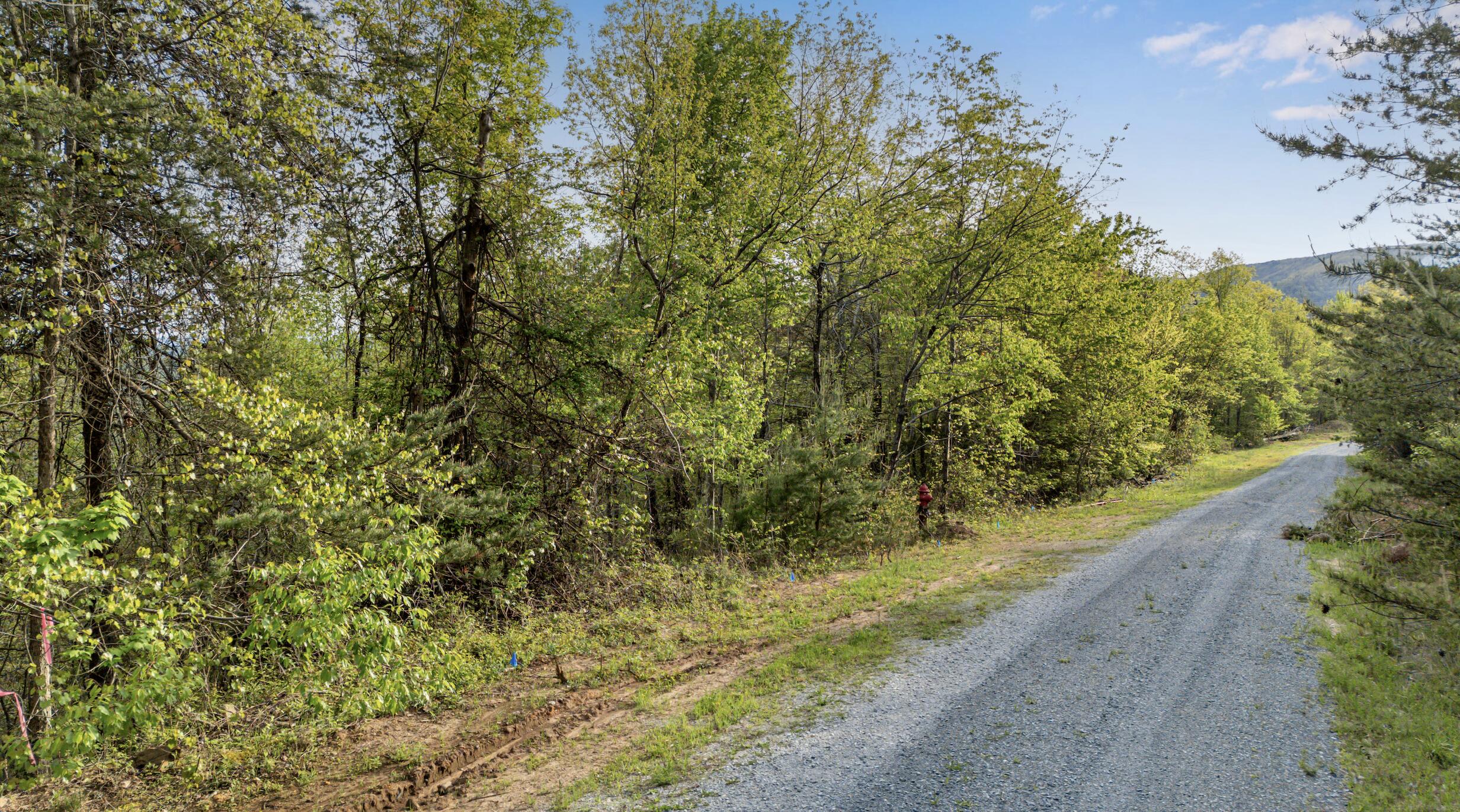 0 Bluff Ledge Drive, Lot 79