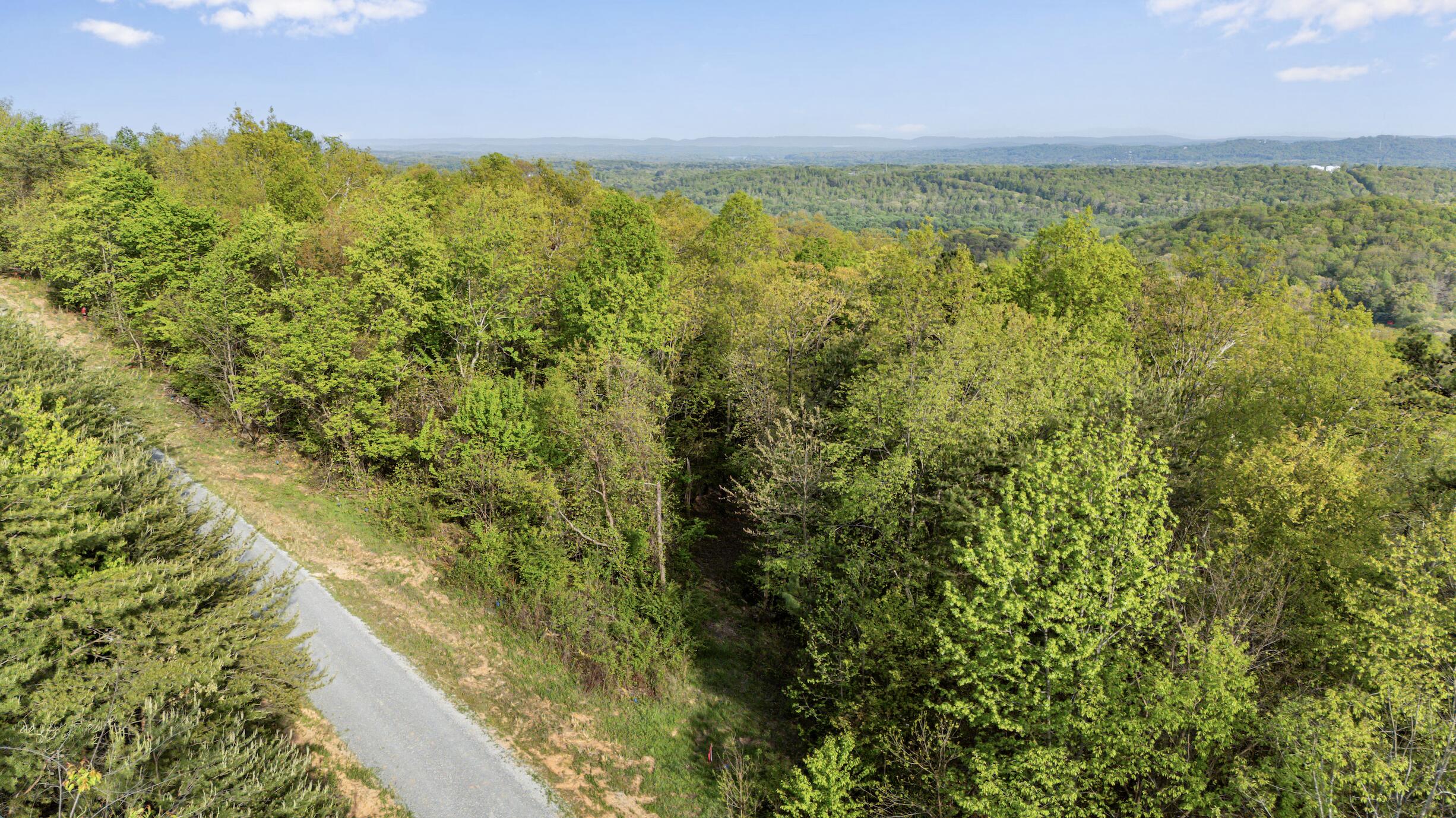 0 Bluff Ledge Drive, Lot 79