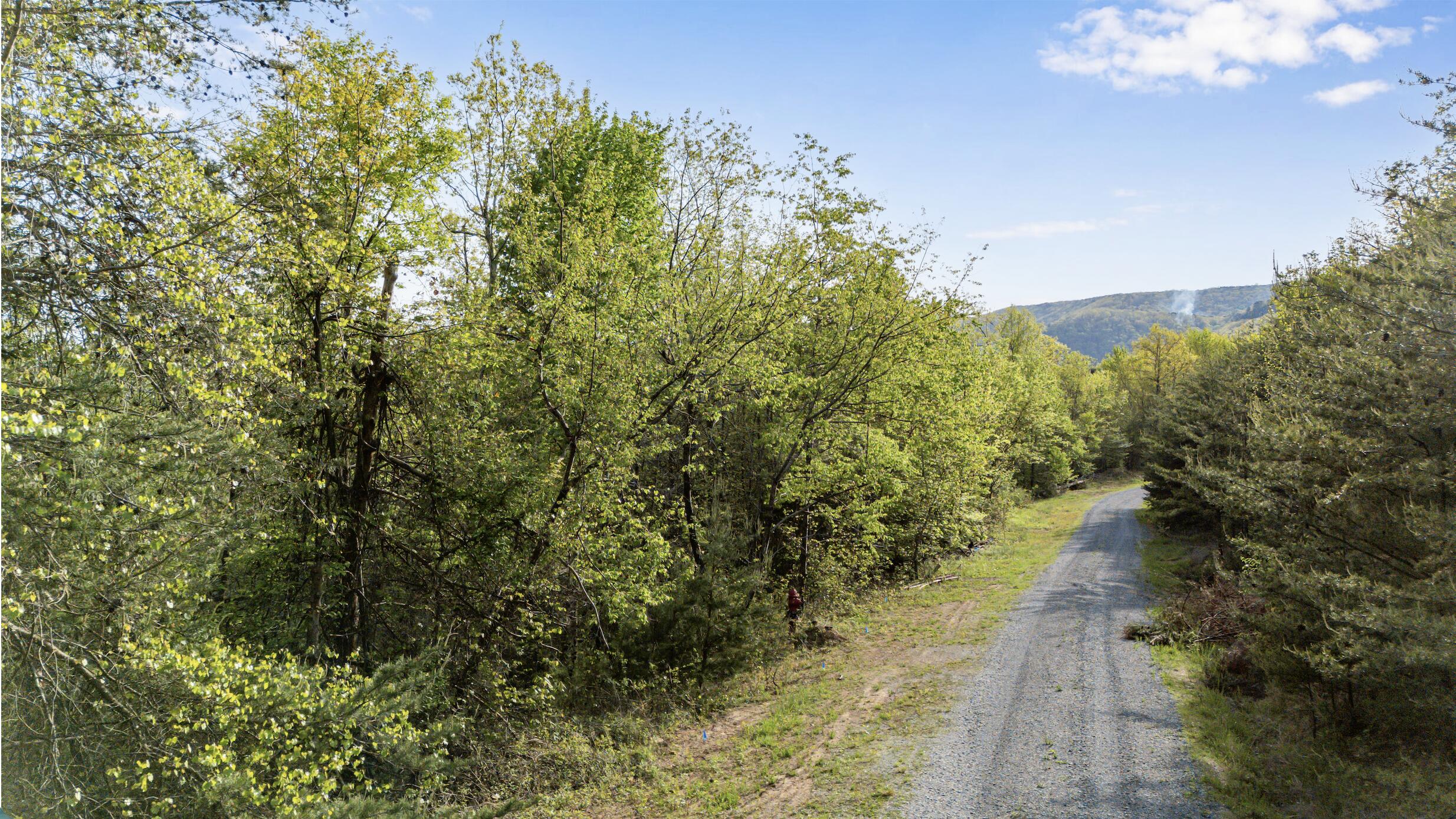 0 Bluff Ledge Drive, Lot 79