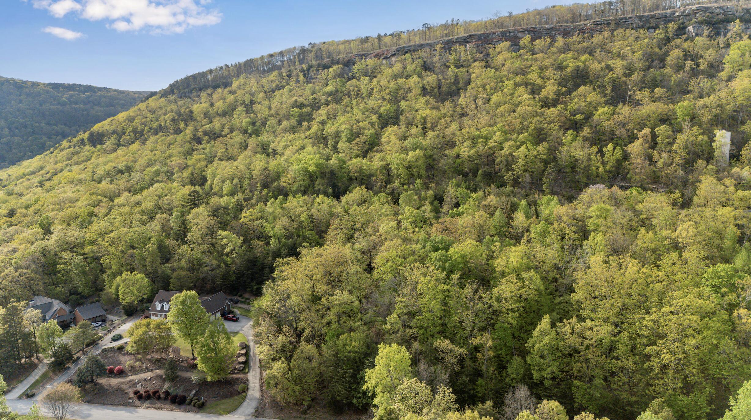 0 Bluff Ledge Drive, Lot 79