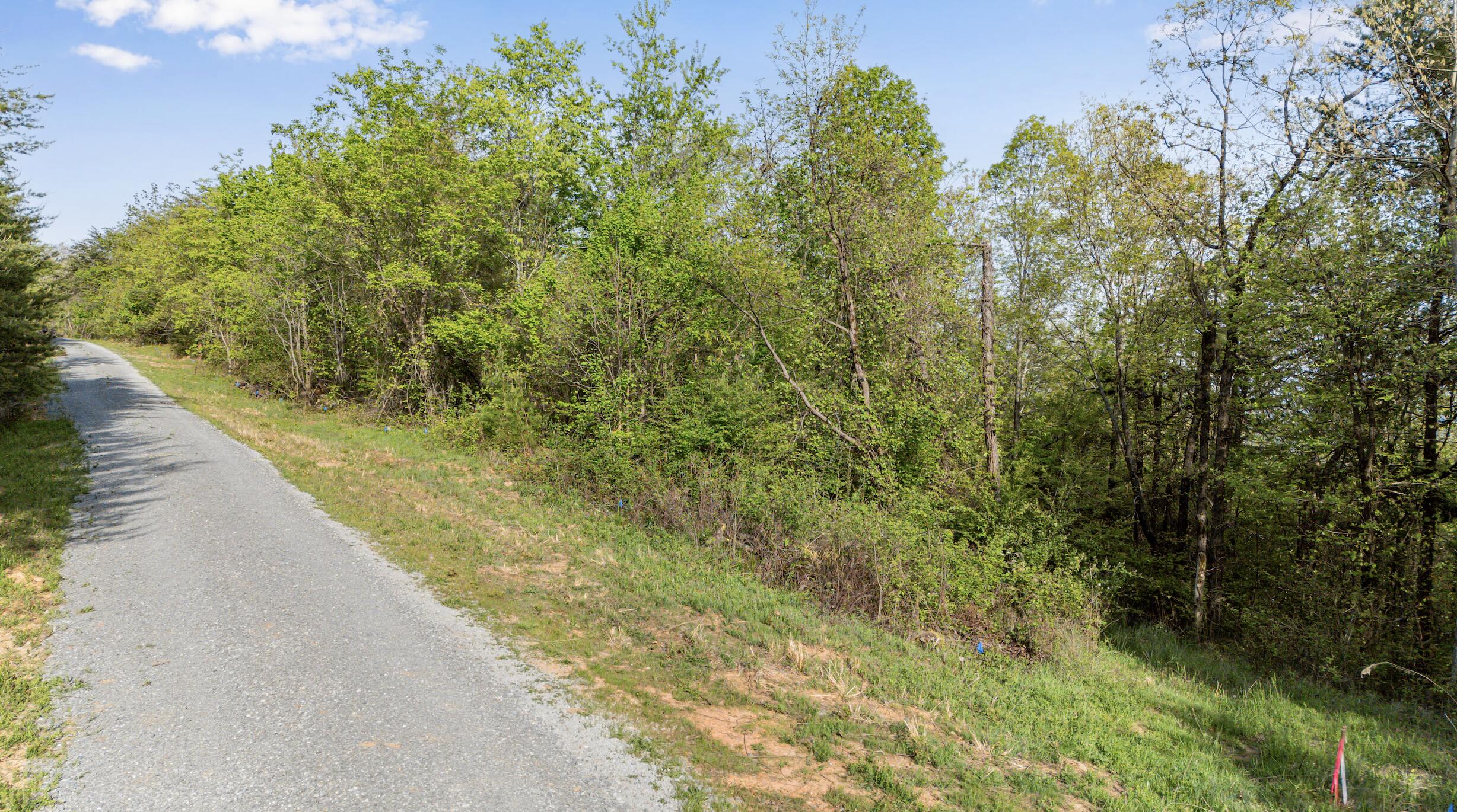 0 Bluff Ledge Drive, Lot 79