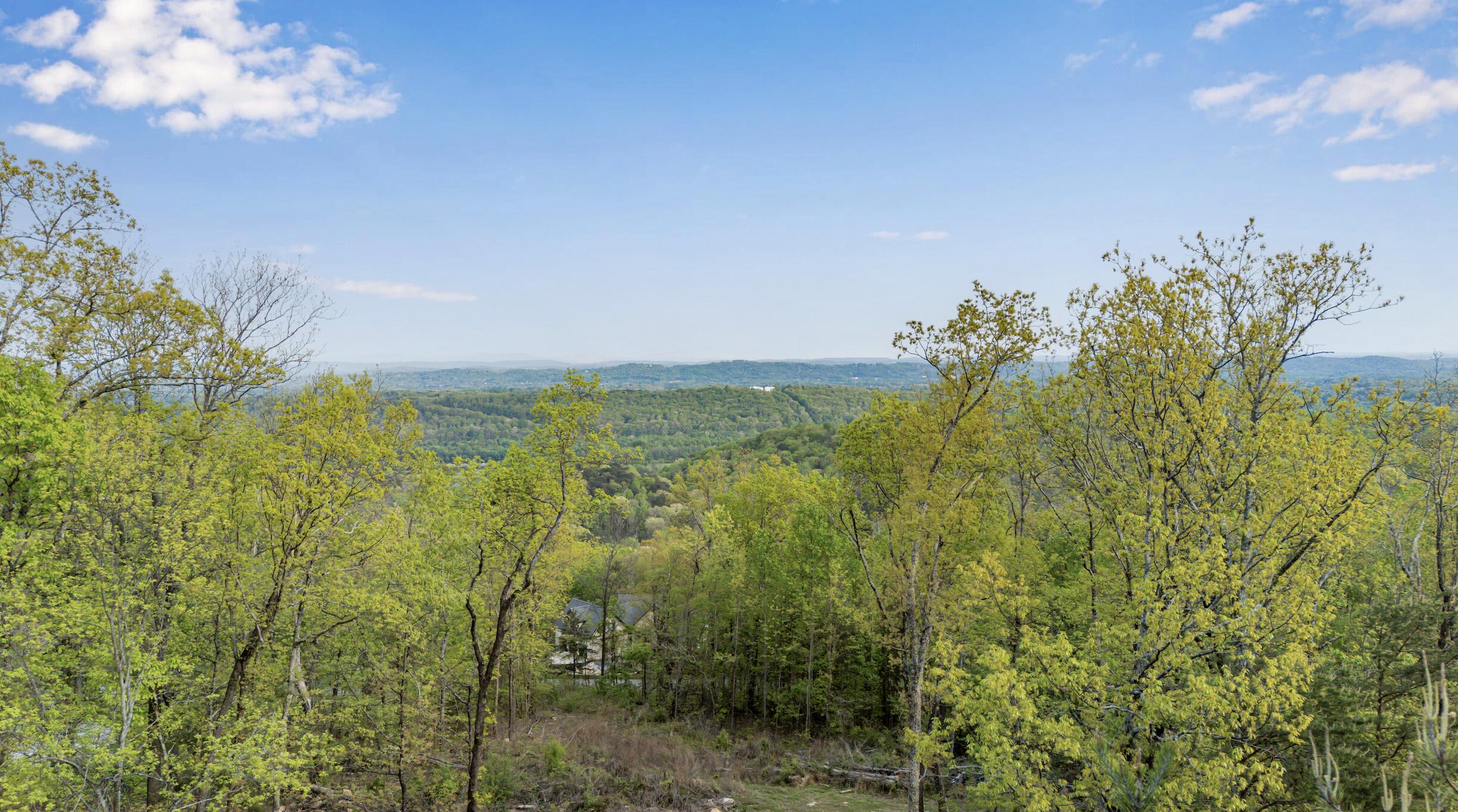 0 Bluff Ledge Trail, Lot 80