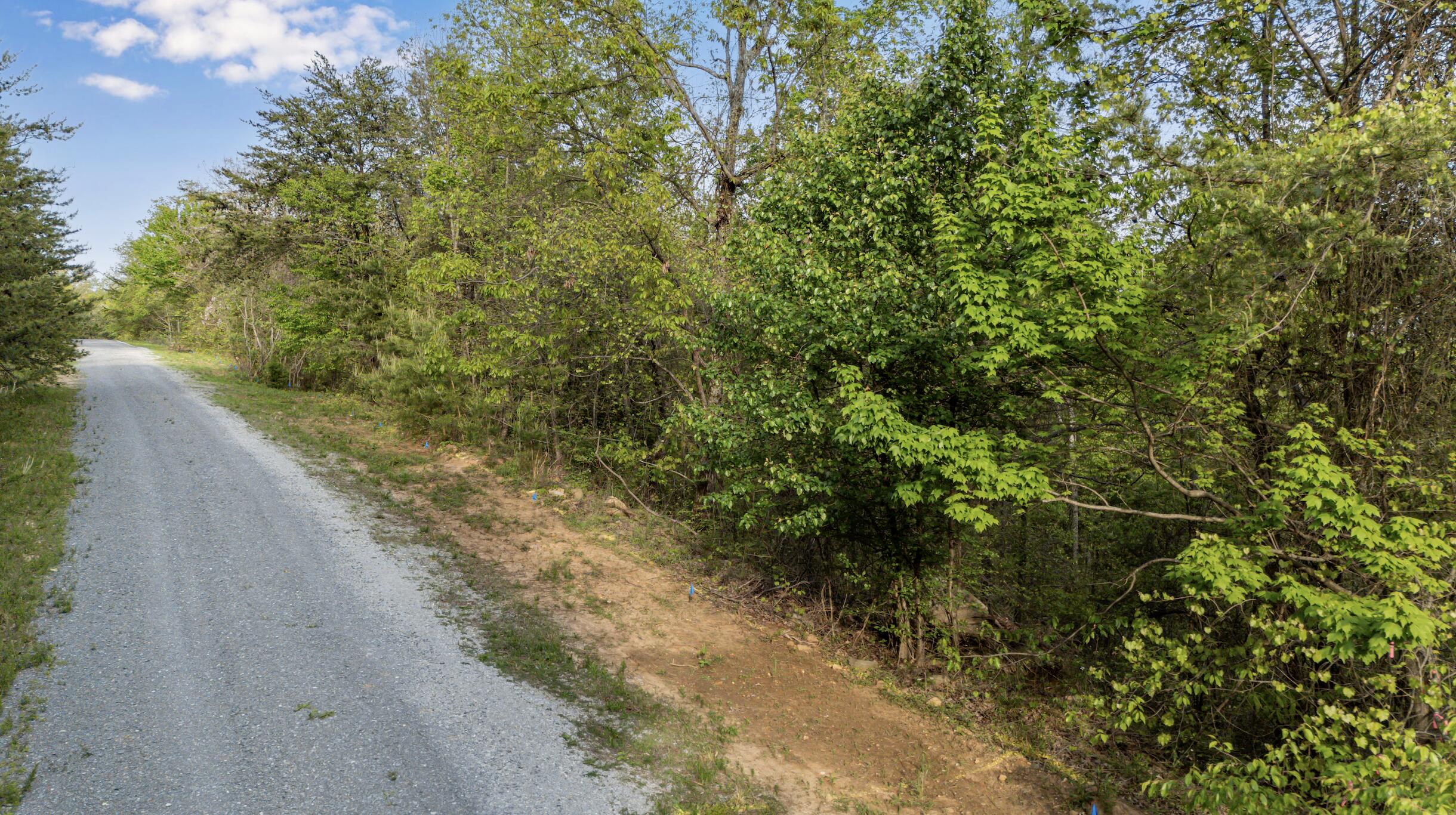 0 Bluff Ledge Trail, Lot 80