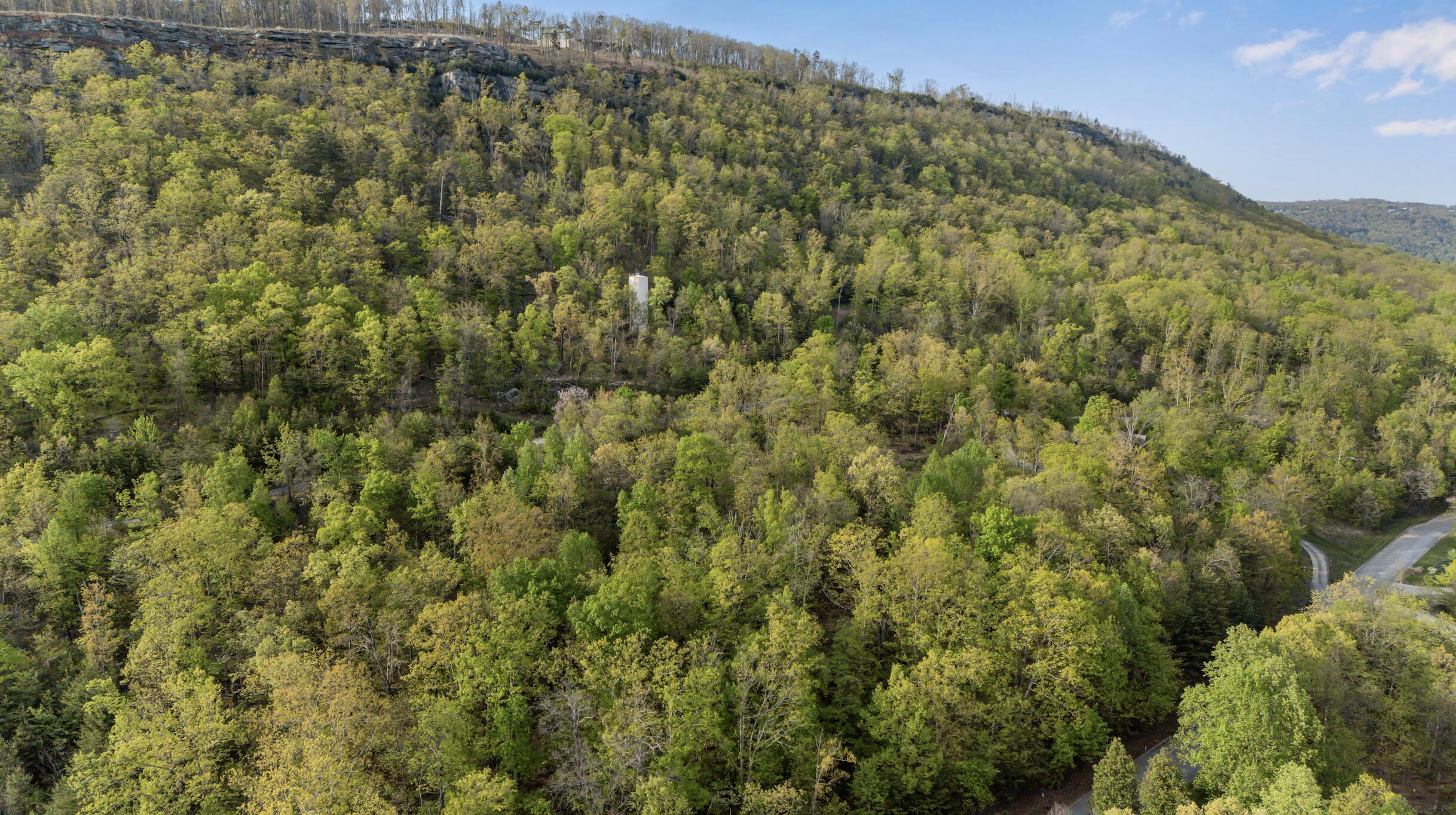 0 Bluff Ledge Trail, Lot 80