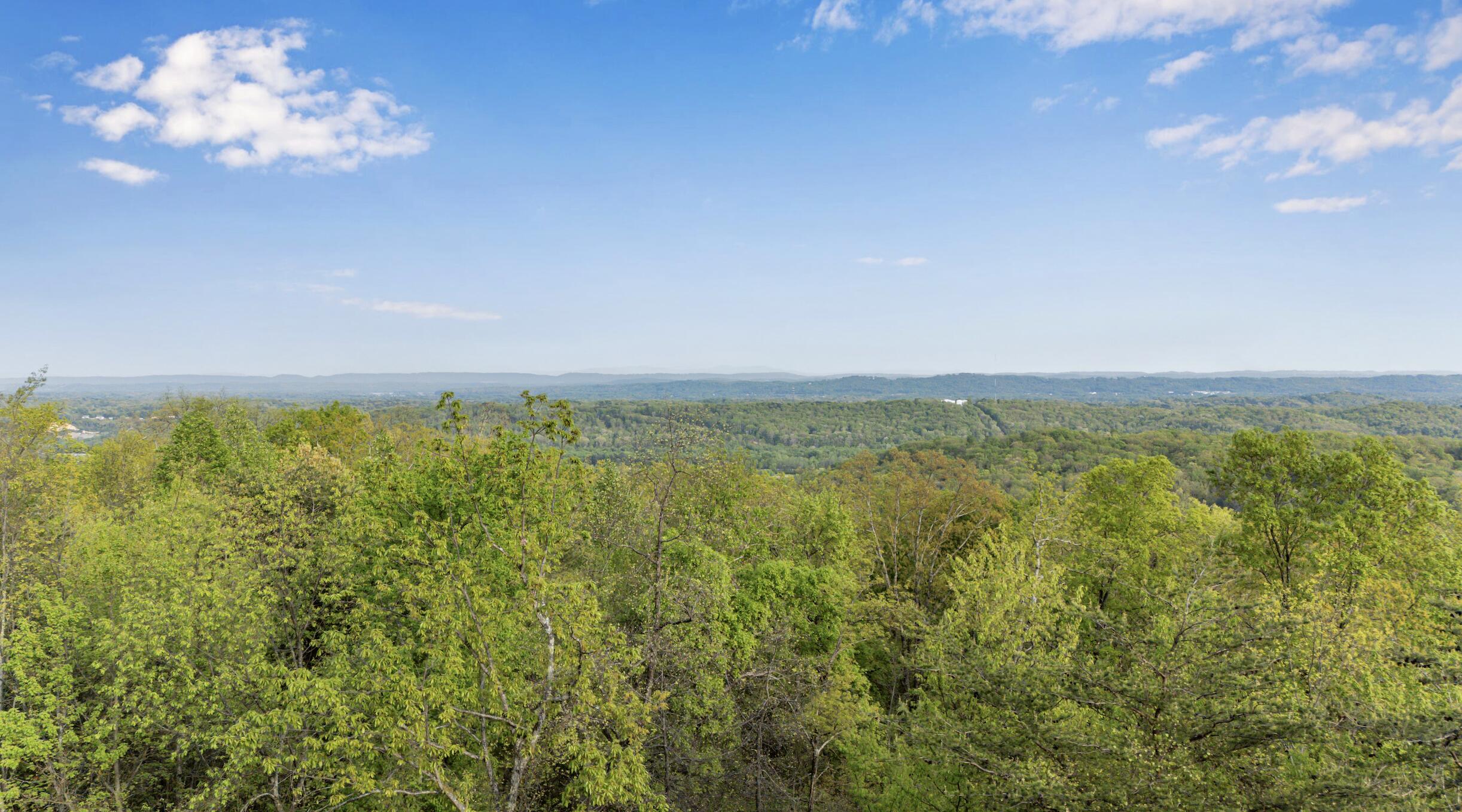 0 Bluff Ledge Trail, Lot 80