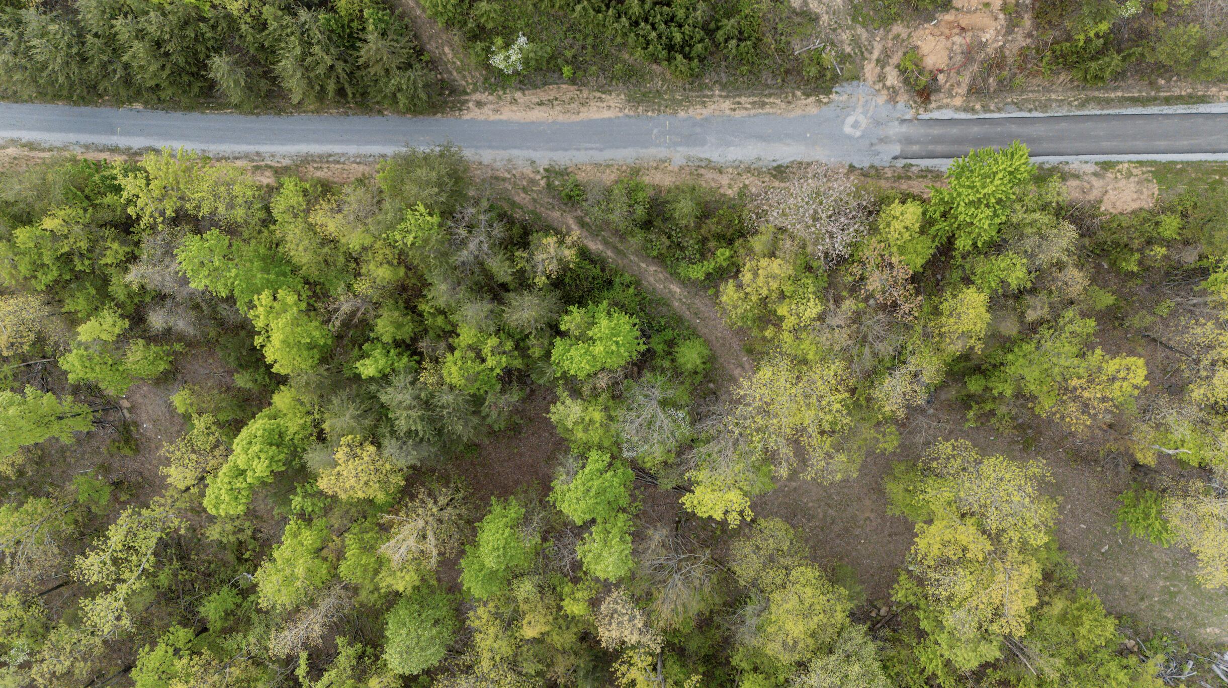0 Bluff Ledge Trail, Lot 80