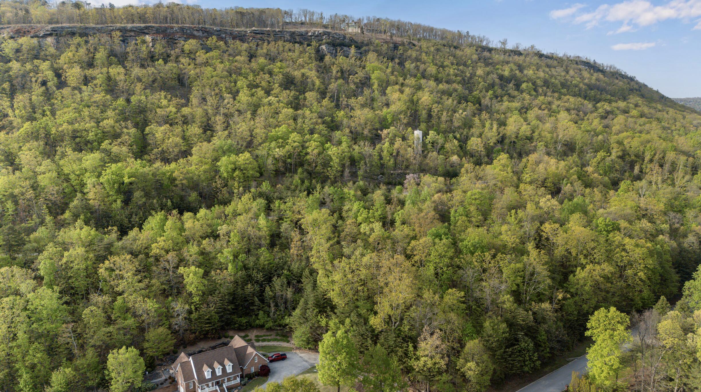 0 Bluff Ledge Trail, Lot 80