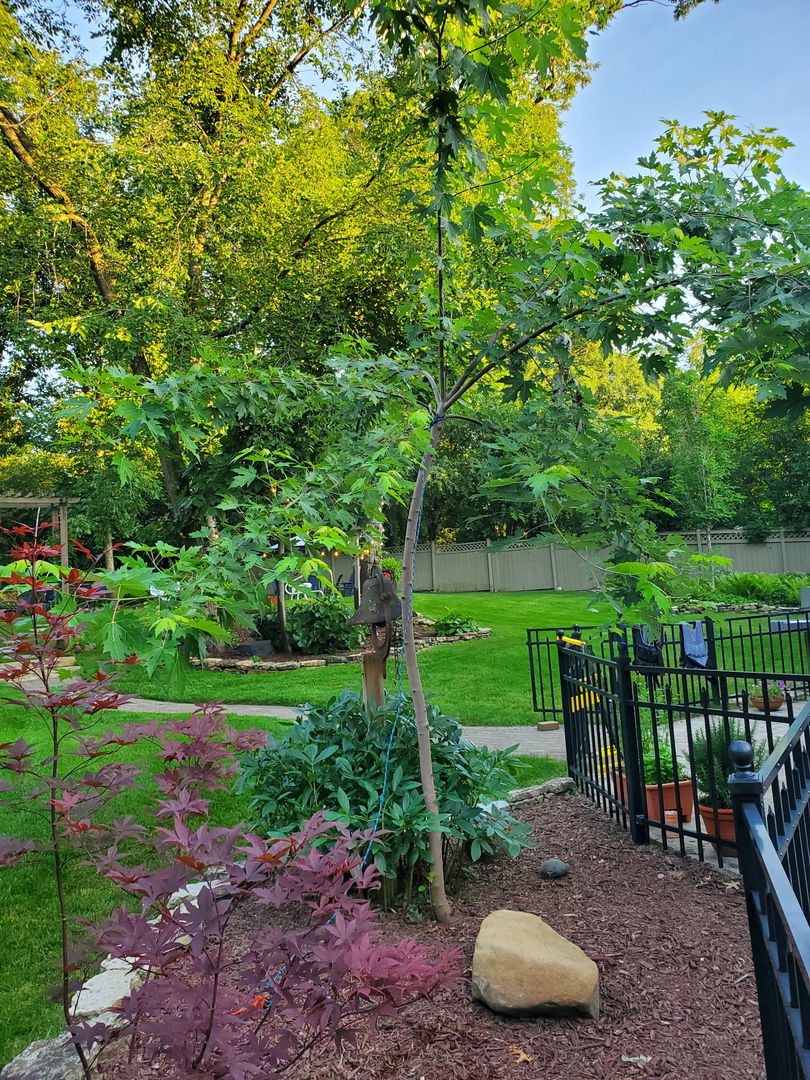 3N866 Ferson Creek Road