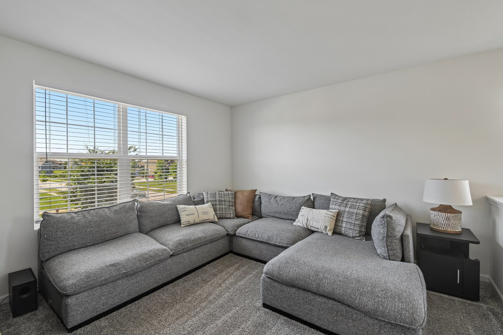 16256 W Wirestem Drive
