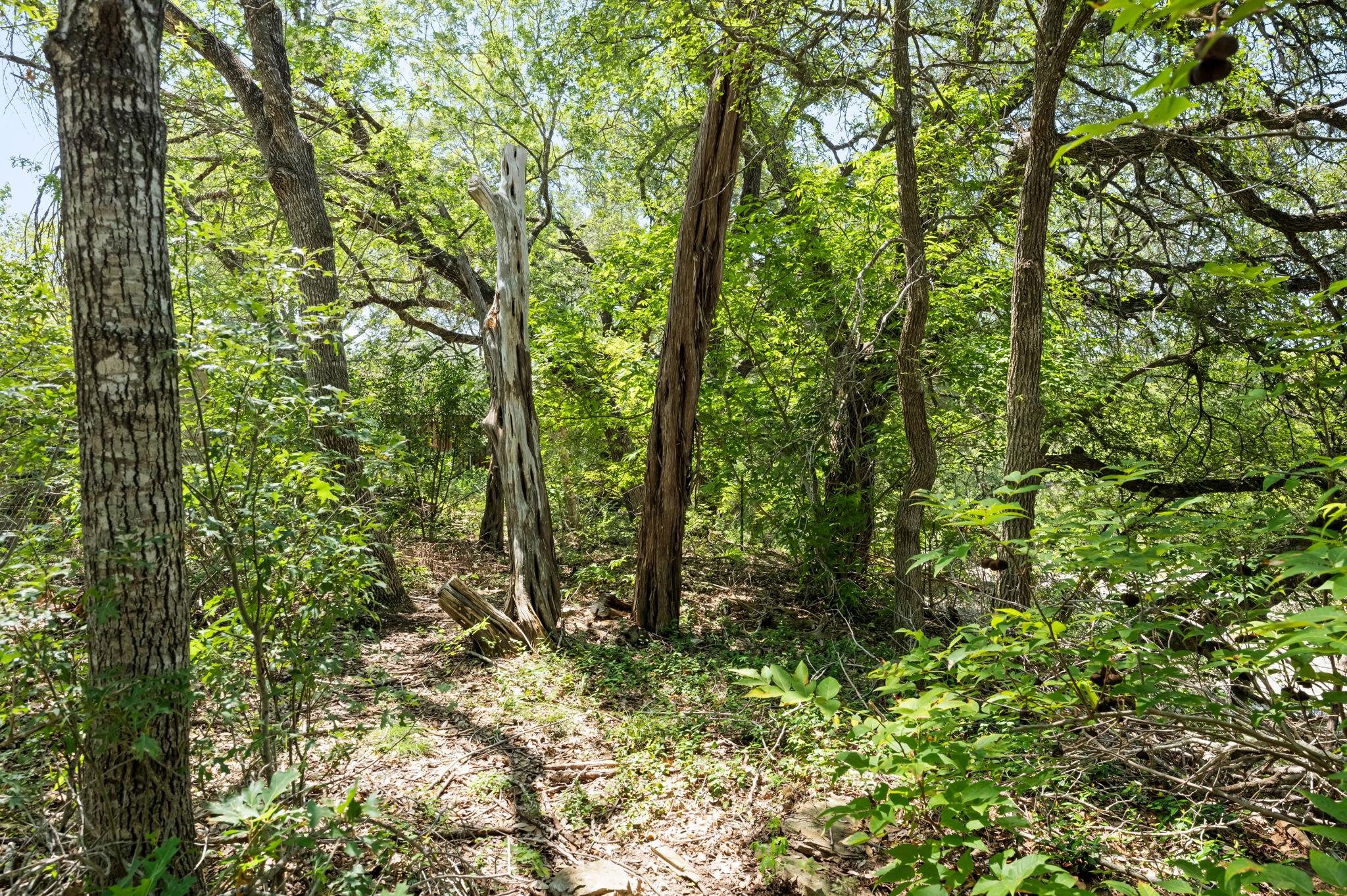 509 Kingfisher Creek DR