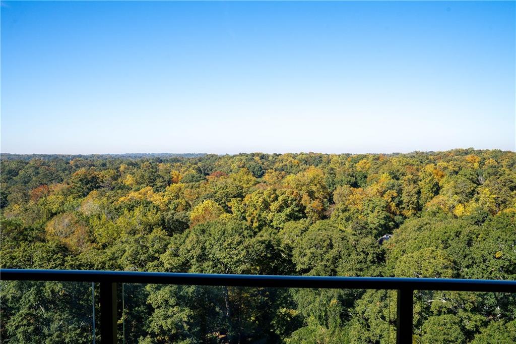 2520 Peachtree Road NW Unit 1202