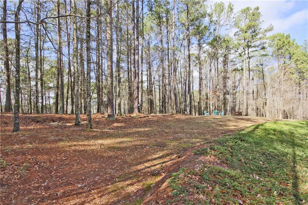 203 Drews Ridge Drive