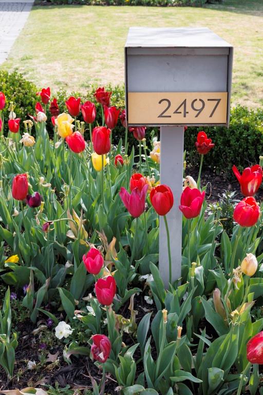 2497 Appalachee Drive NE