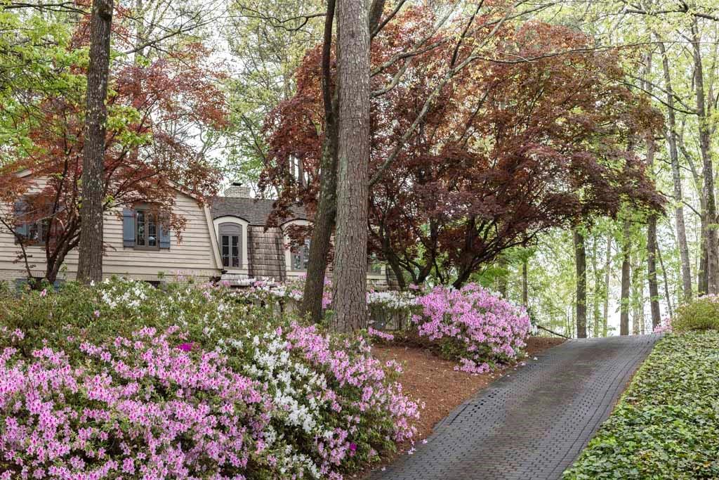 1060 Mountain Creek Trail