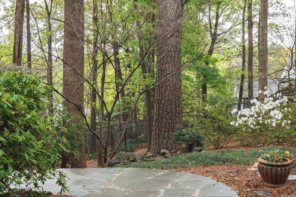 1060 Mountain Creek Trail