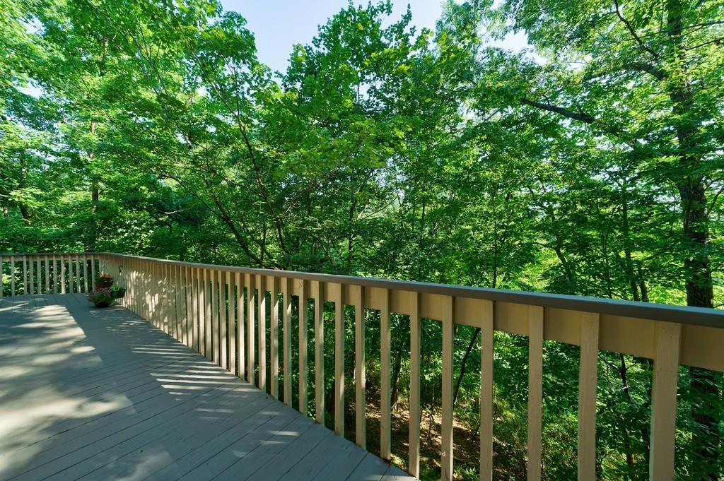 72 Shaggy Maple Lane