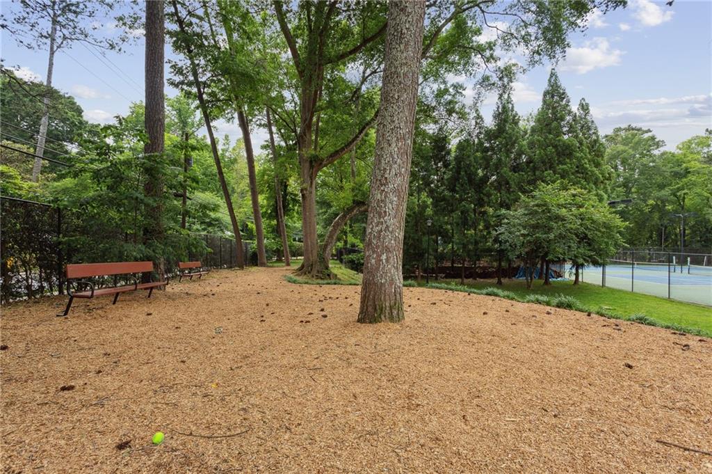 5 Walnut Hill Place NW