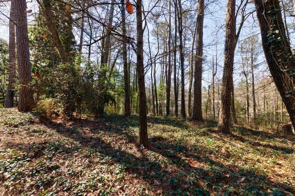 3216 Rilman Drive
