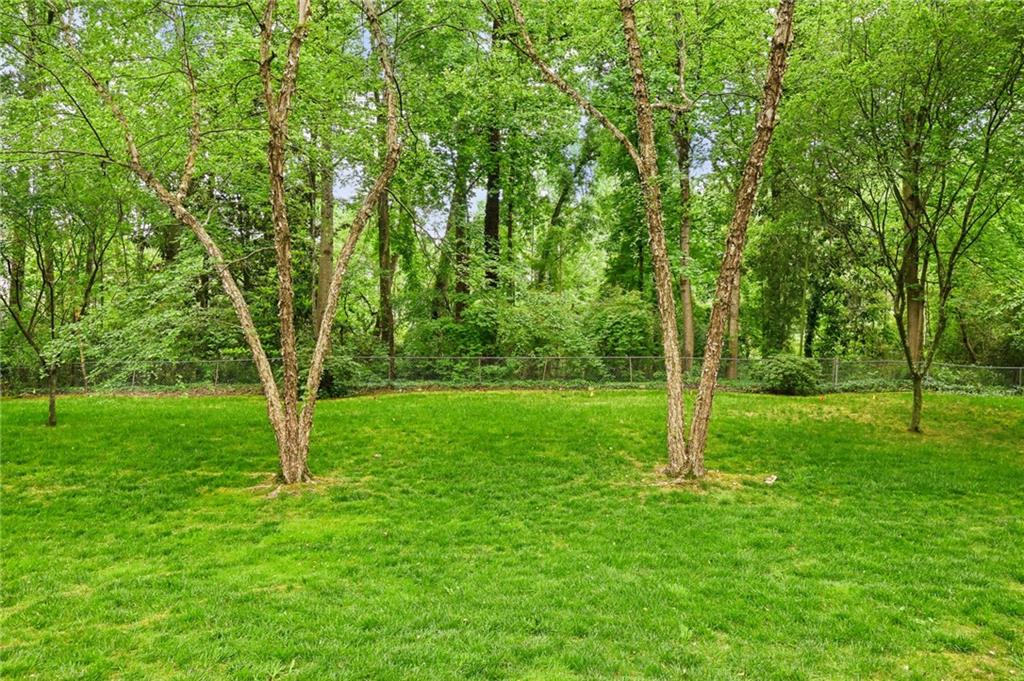 1132 Brookhaven Row NE