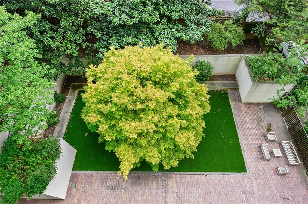 2575 Peachtree Road NE Unit 6E