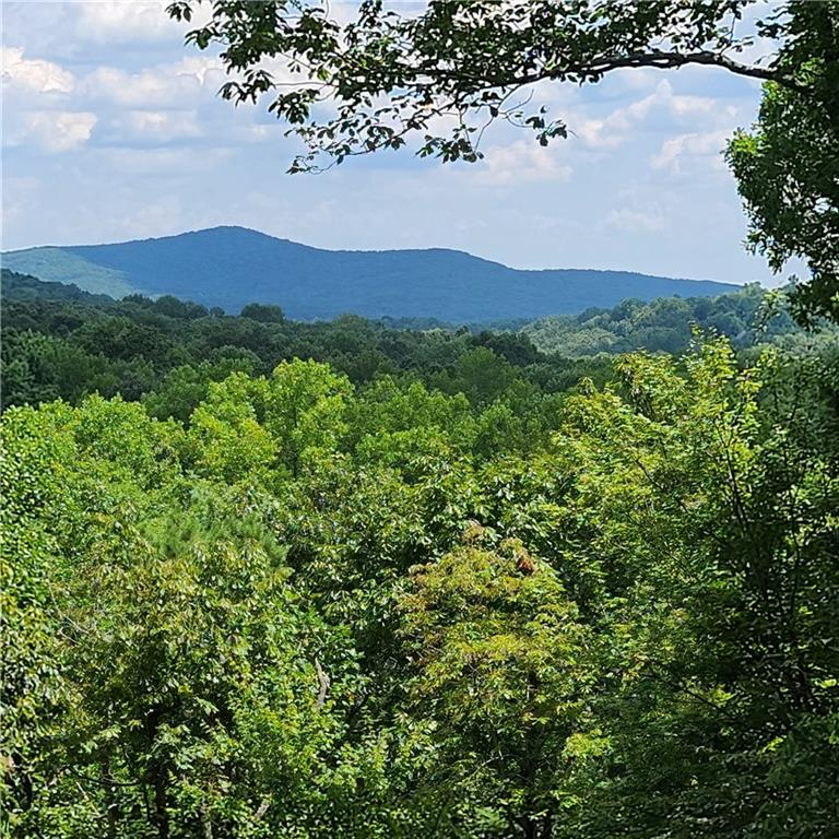 805 Wake Robin Drive