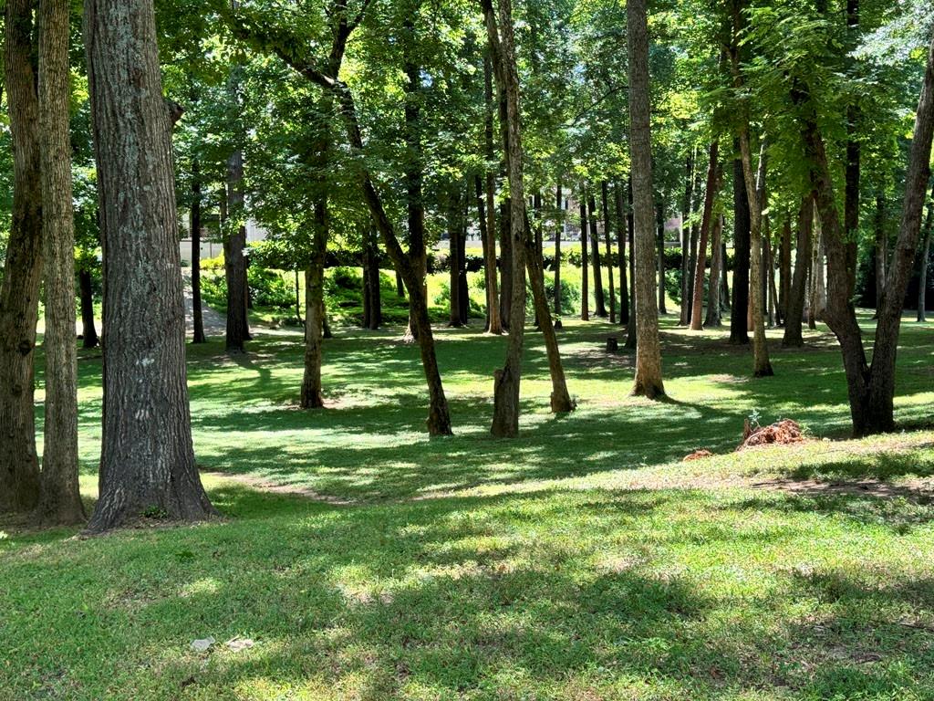 4420 Paces Battle NW