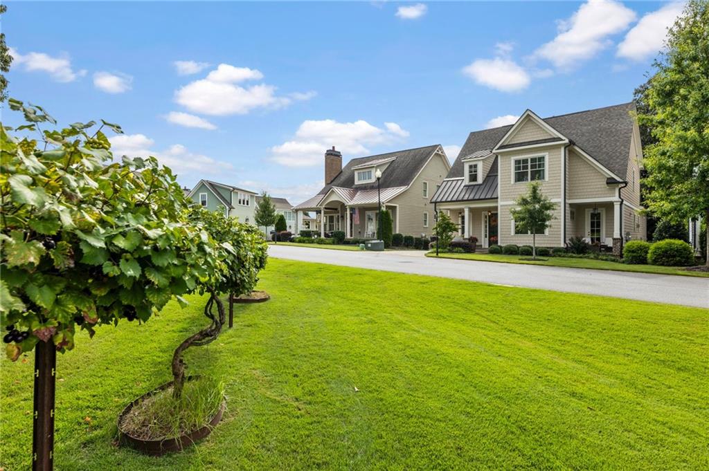 5440 Vineyard Park Trail