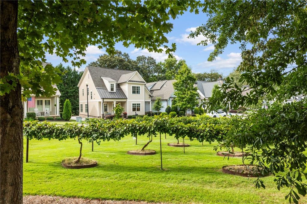 5440 Vineyard Park Trail