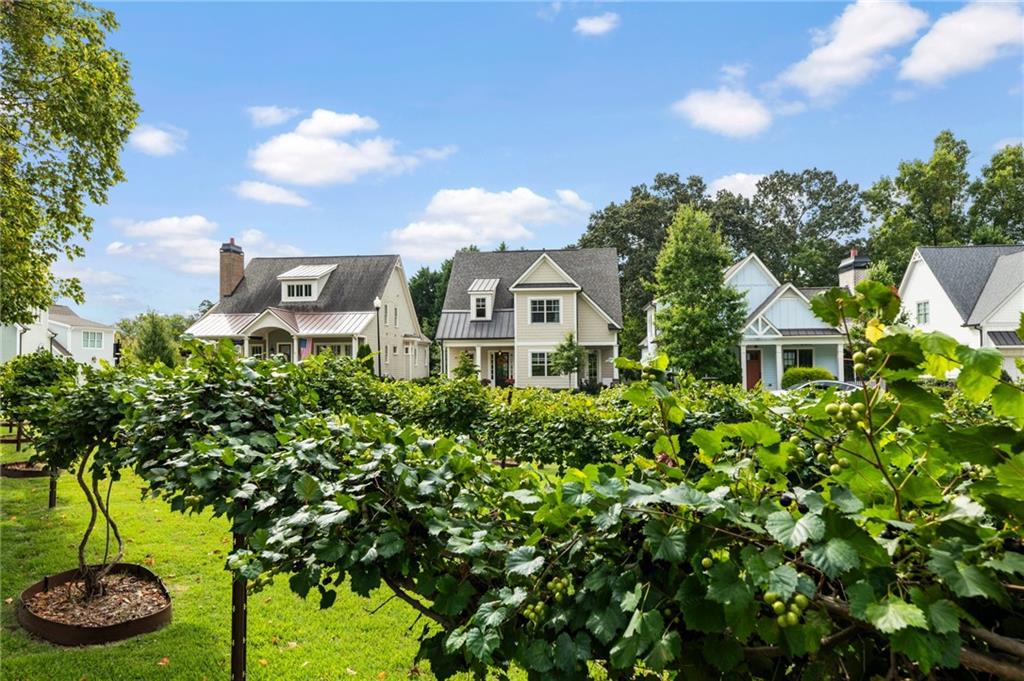 5440 Vineyard Park Trail