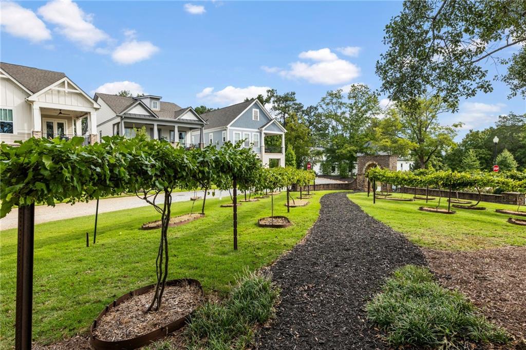 5440 Vineyard Park Trail