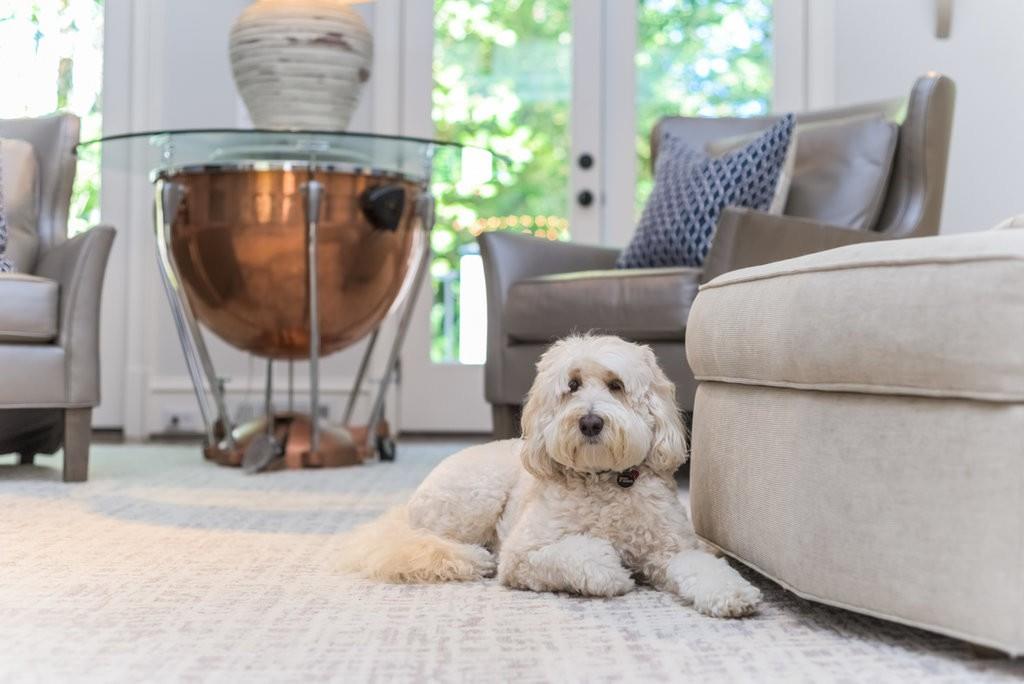 825 Marseilles Drive